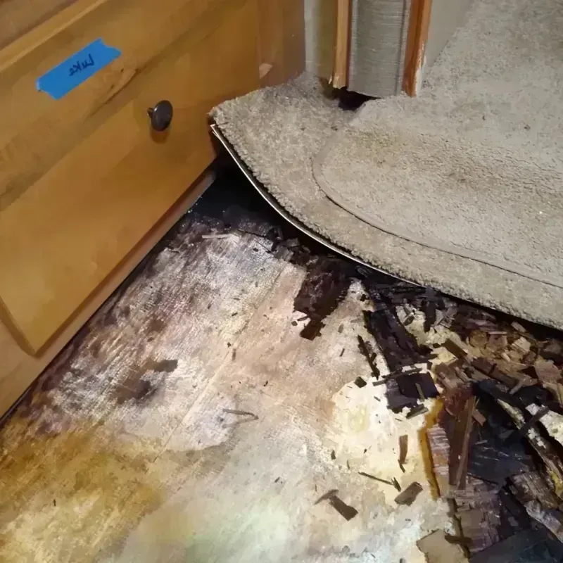 Wood Floor Water Damage in Lantana, FL